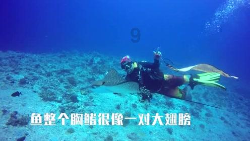 (新春见闻)黑龙江哈尔滨:“中国第一龙乡”民众献唱送祝福